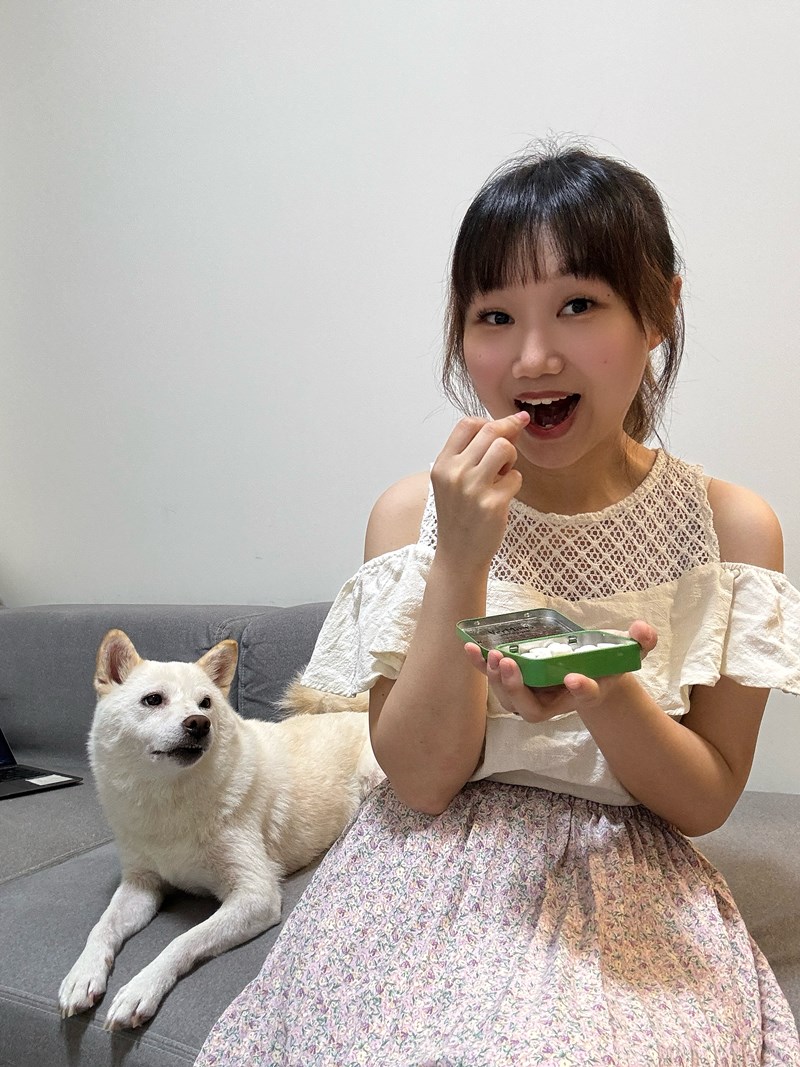 試用